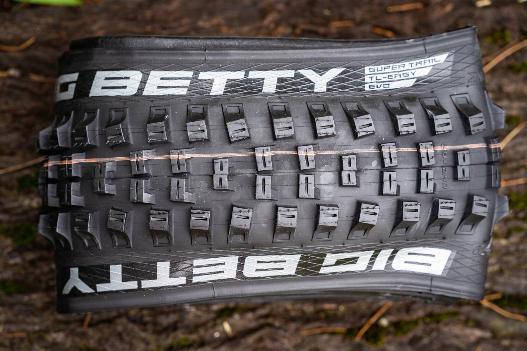 Smoothness and Comfort with Schwalbe Big Betty